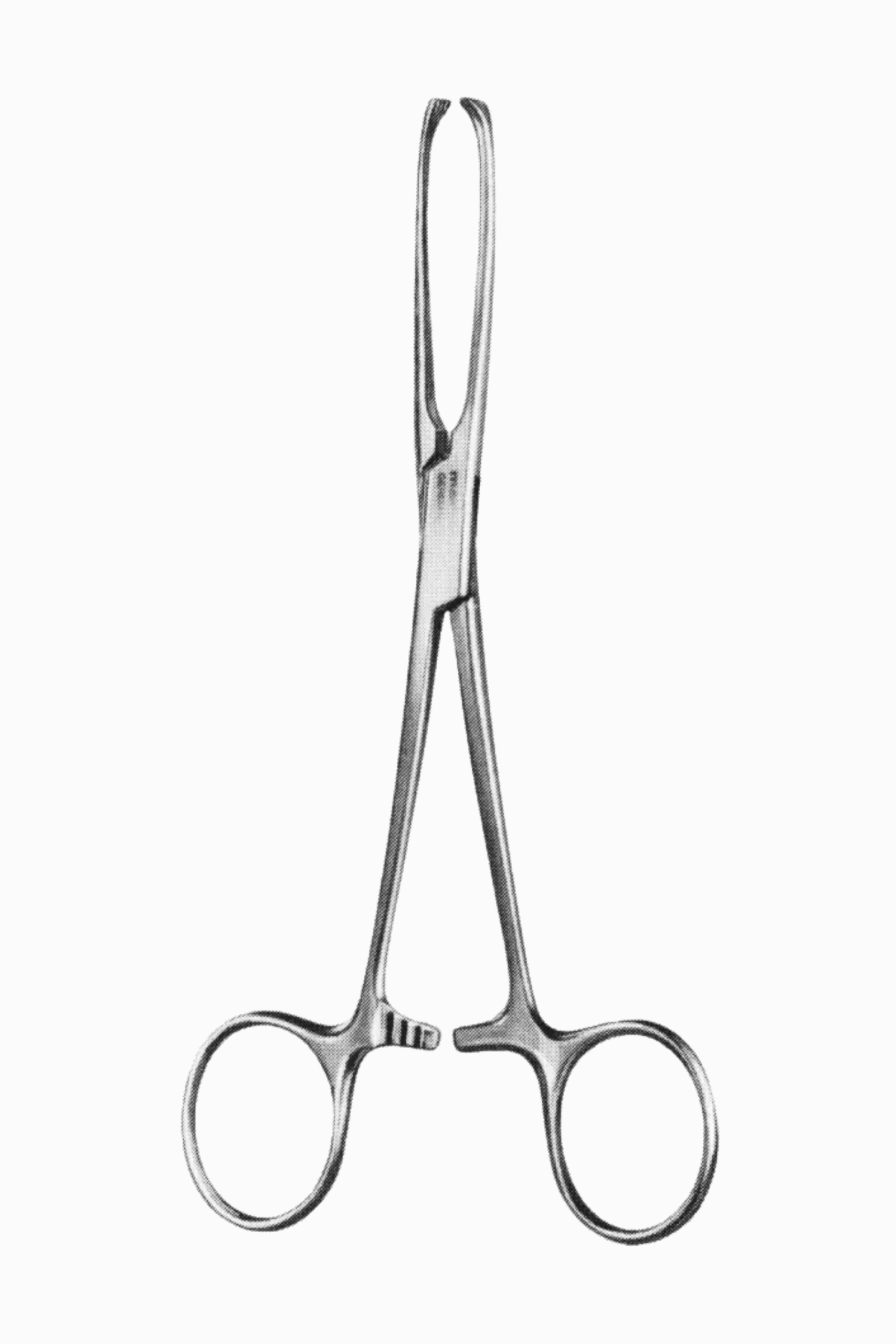 Surgical Scissors